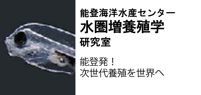能登海洋水産センター