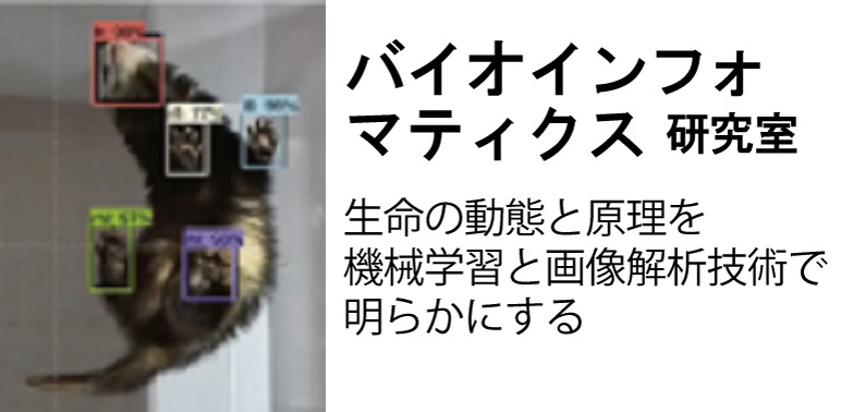 バイオインフォマティクス