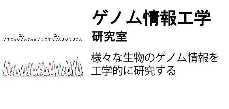 ゲノム情報工学