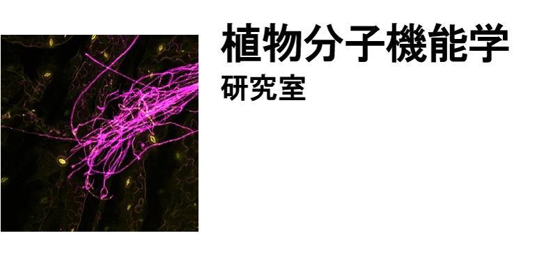 植物分子機能学