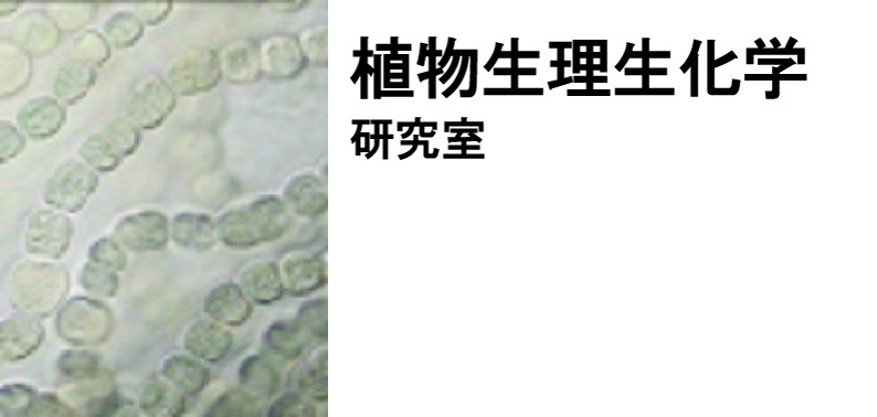 植物生理生化学