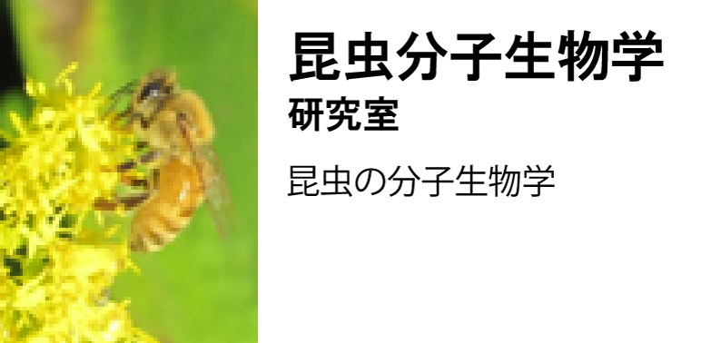 昆虫分子生物学