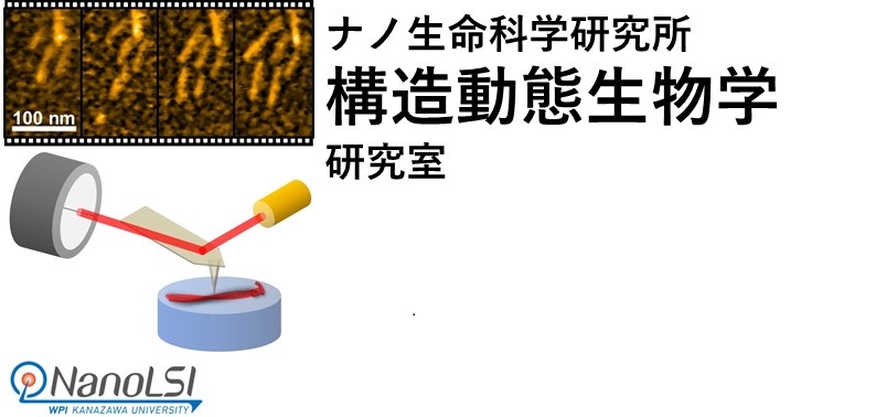 構造動態生物学