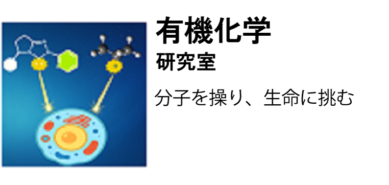 有機化学研究室