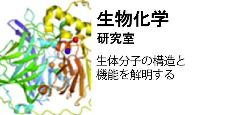 生物化学研究室