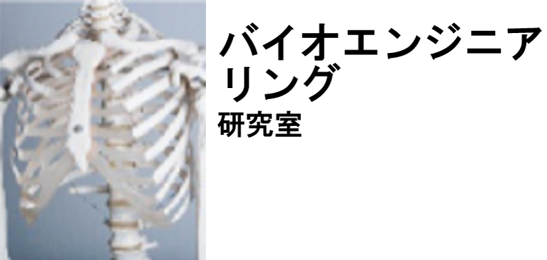 バイオエンジニアリング研究室